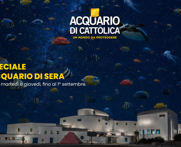 Acquario di sera 