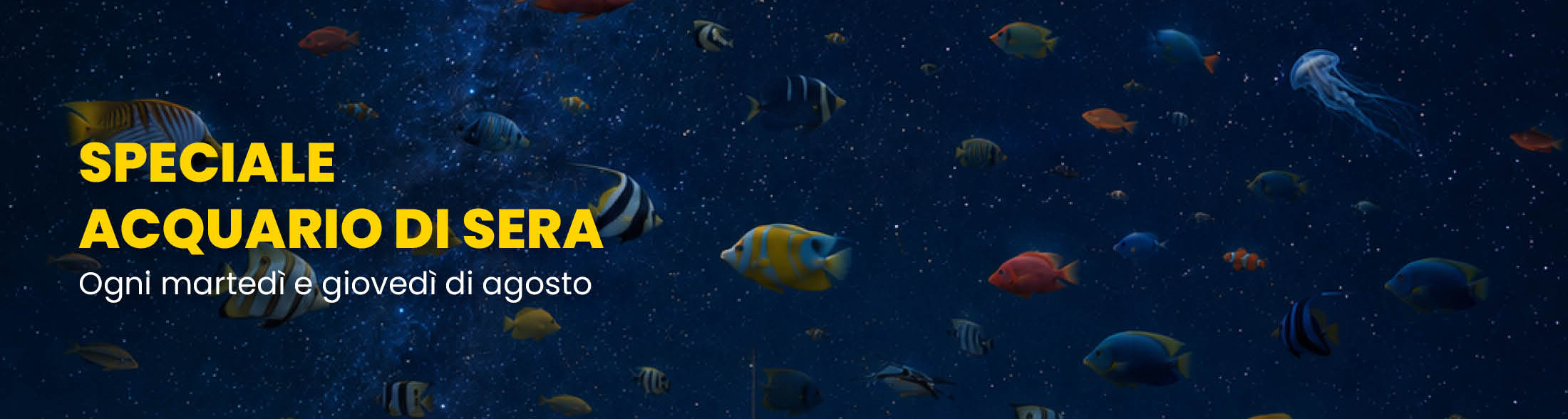 Acquario di sera - Il Respiro degli Abissi