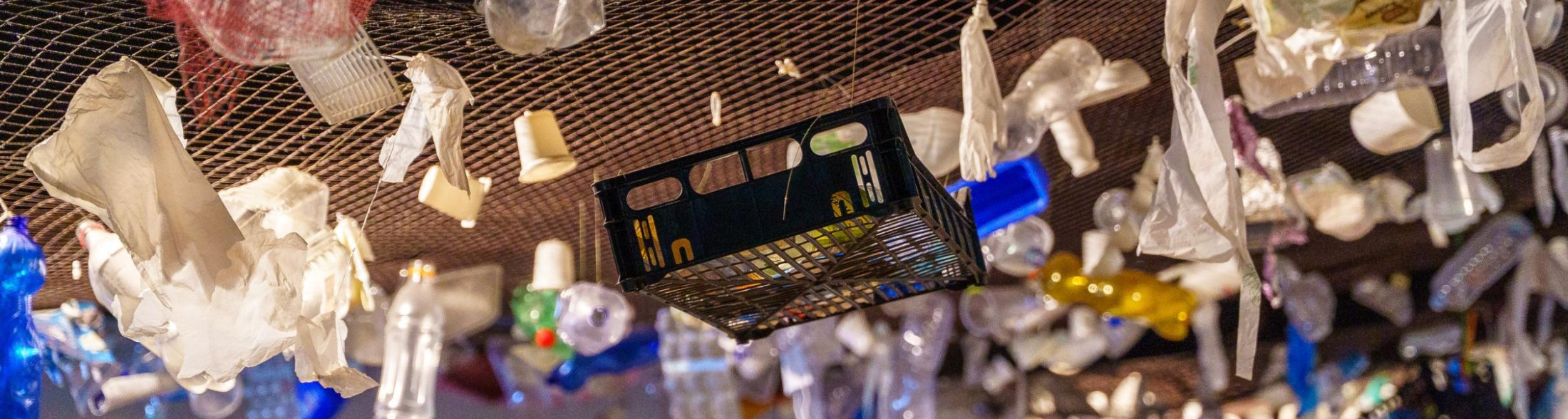 Attività didattiche per le secondarie di secondo grado