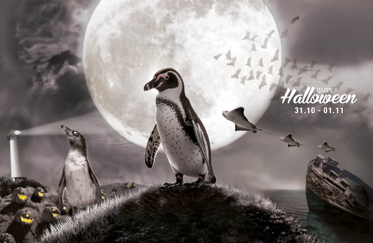 Halloween 2026