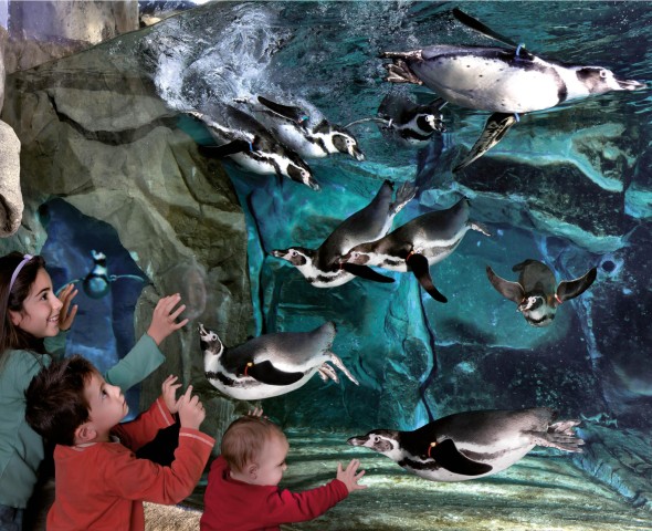 Incontri ravvicinati