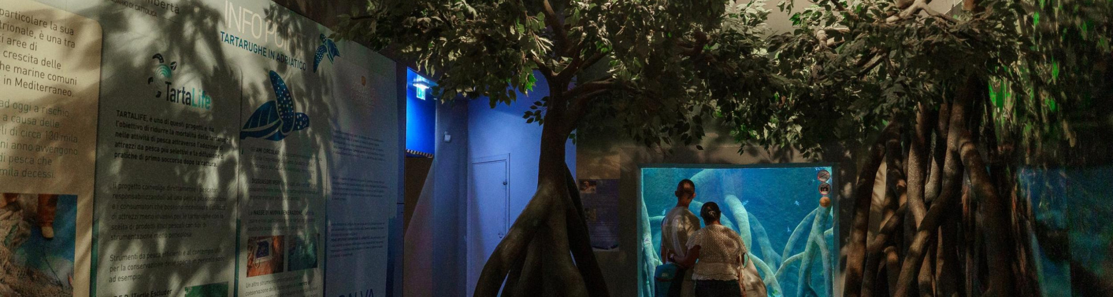 L'acquario d'inverno