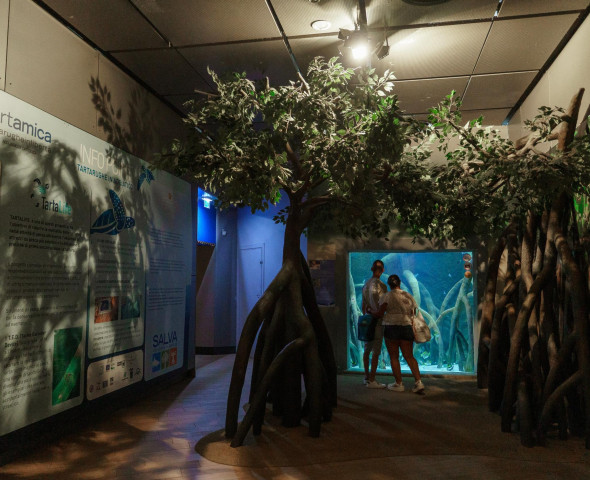 L'acquario d'inverno