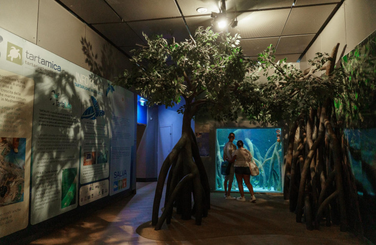 L'acquario d'inverno