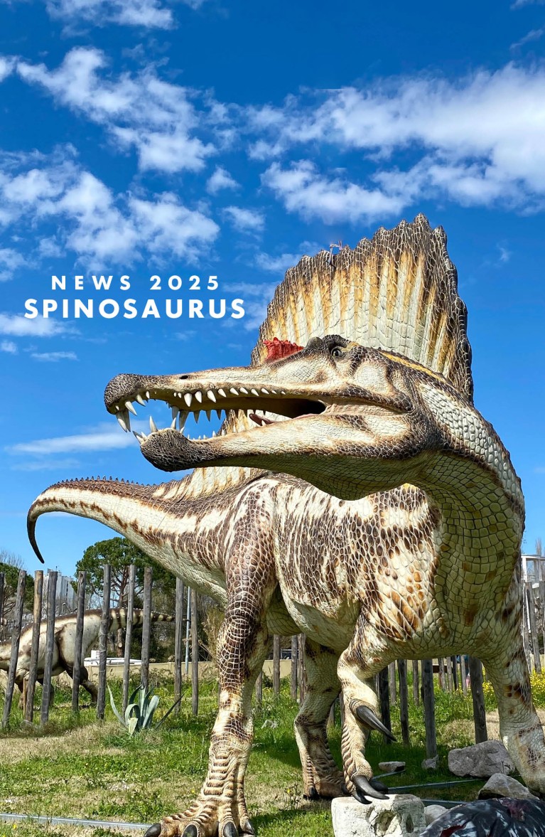 Acquario di Cattolica, the largest aquarium on the Adriatic. Amusement park  for families with children on the Romagna Riviera | Official Website