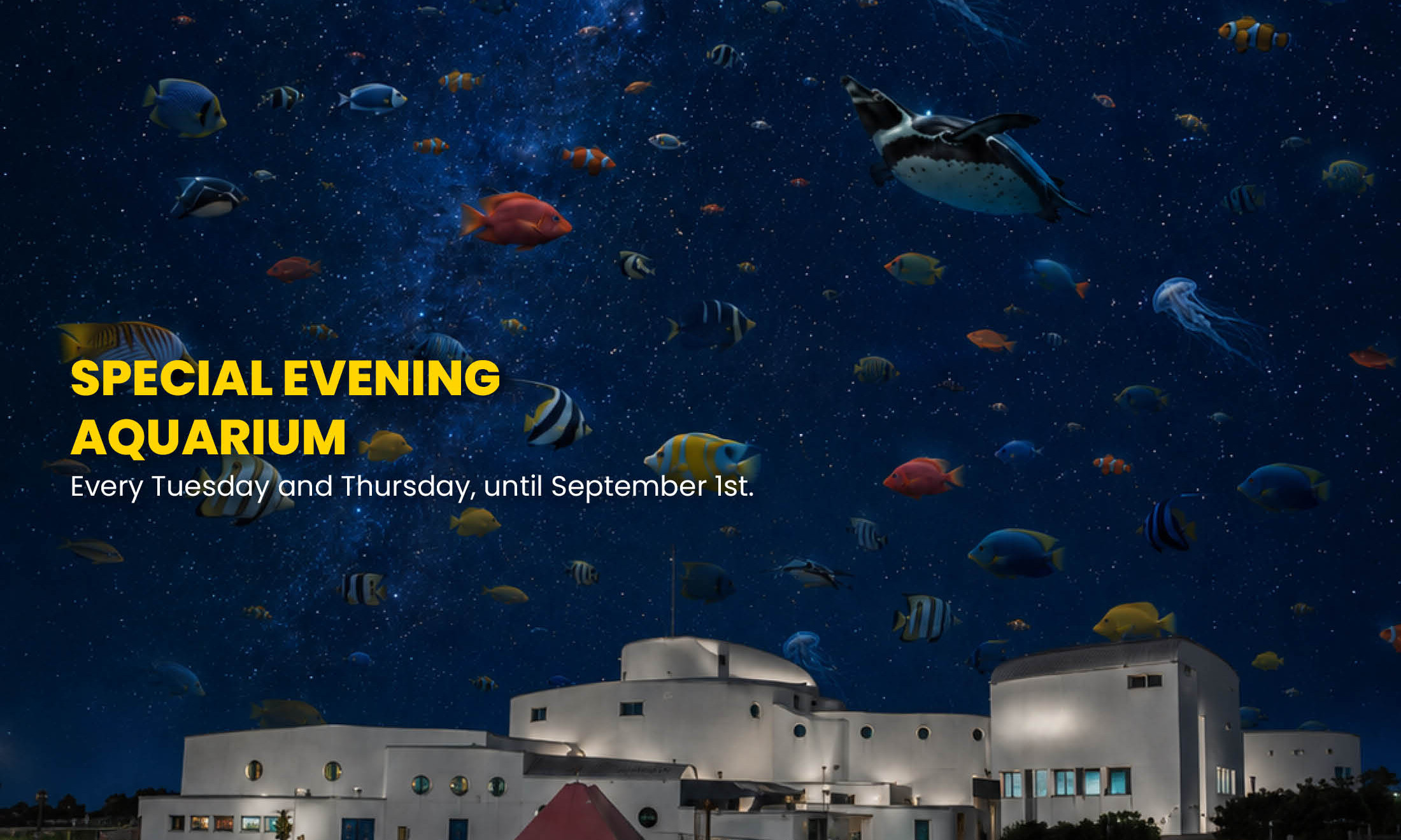 Special Evening Aquarium 