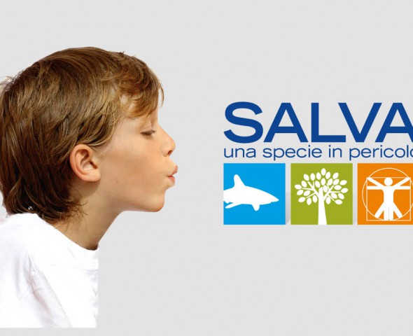 CONSERVATION
