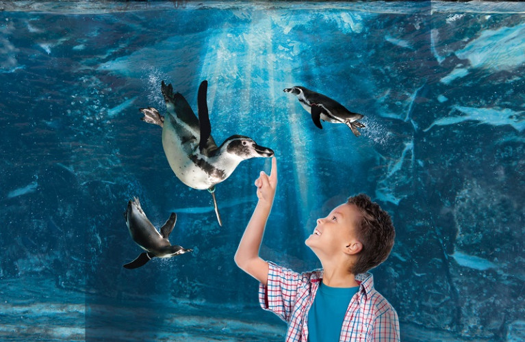 See the main protagonists being fed 