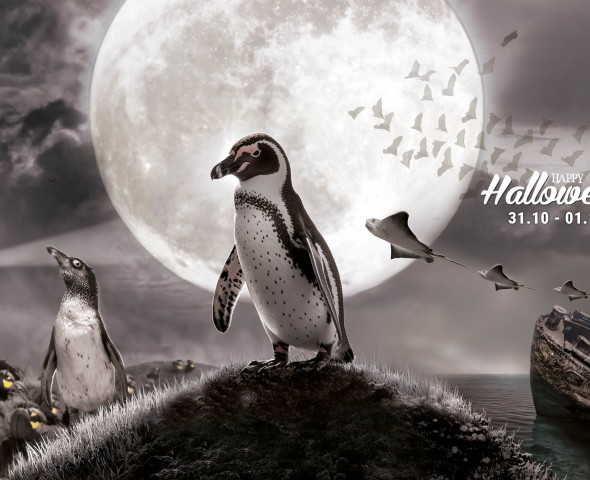 Halloween 2025