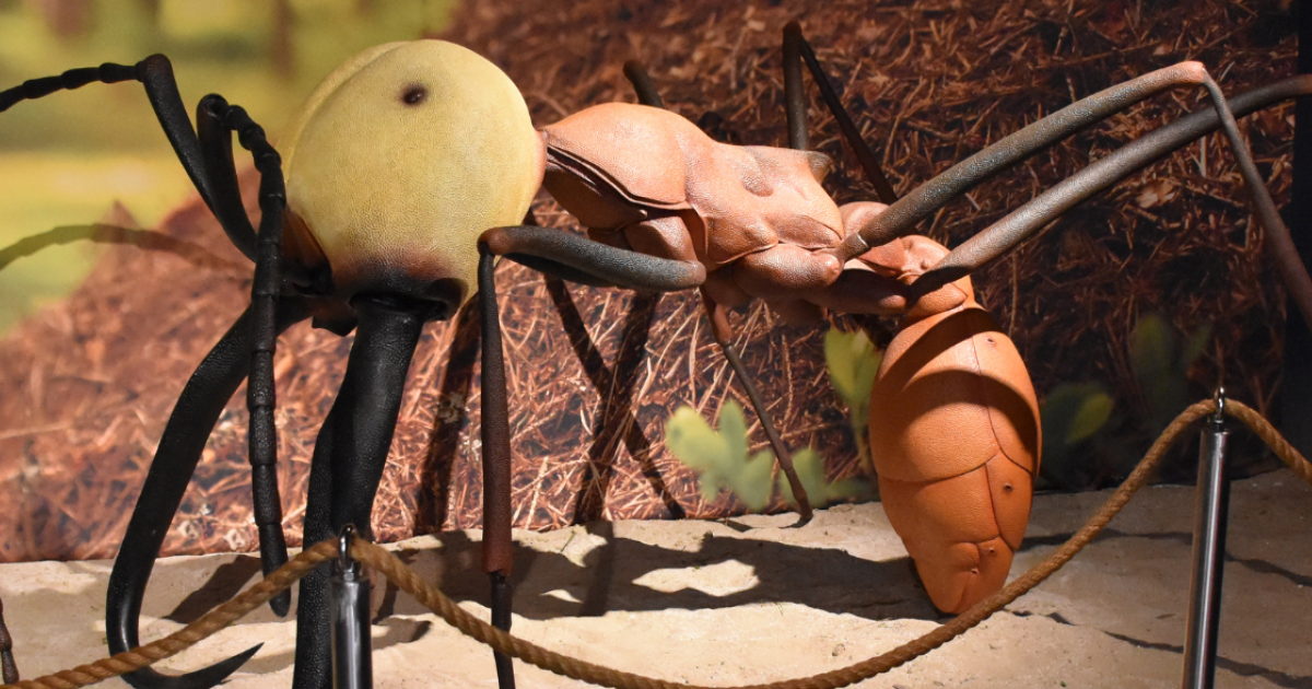 Giant insects XXL edition